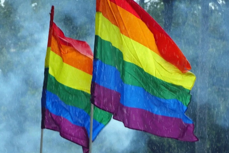 U Sarajevu održana onlajn povorka ponosa, aktivisti u kolima