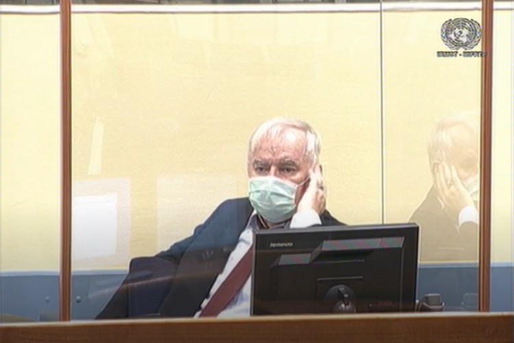 Tehničke poteškoće na raspravi u Hagu, Mladić čita knjigu u sudnici