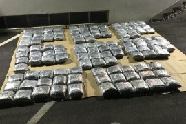 Crnogorska policija zaplijenila više od 100 kilograma marihuane