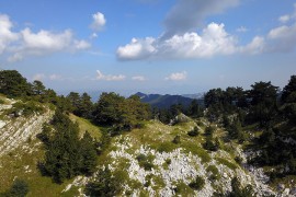 Golić: Park prirode "Orjen" izuzetan prirodni i turistički potencijal
