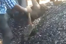 Kamion slučajno istresao šljunak na radnika