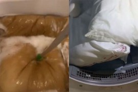 Oprala jastuke nakon deset godina pa pokazala kako izgledaju