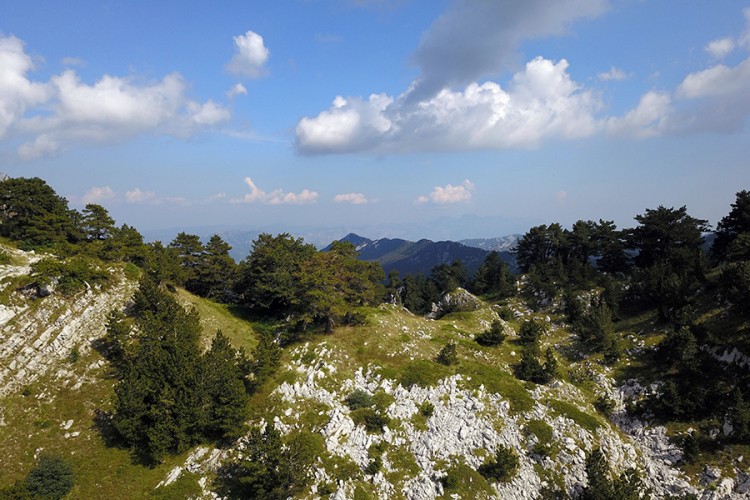 Golić: Park prirode "Orjen" izuzetan prirodni i turistički potencijal