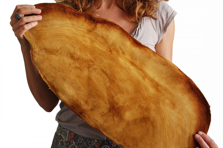Proizvedena veganska koža od gljiva