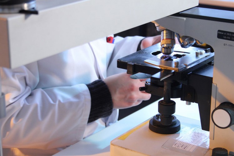 Njemački stručnjak: Malo vjerovatno da je virus nastao u laboratoriji