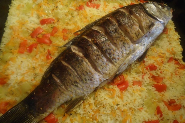 Šaran s rižom