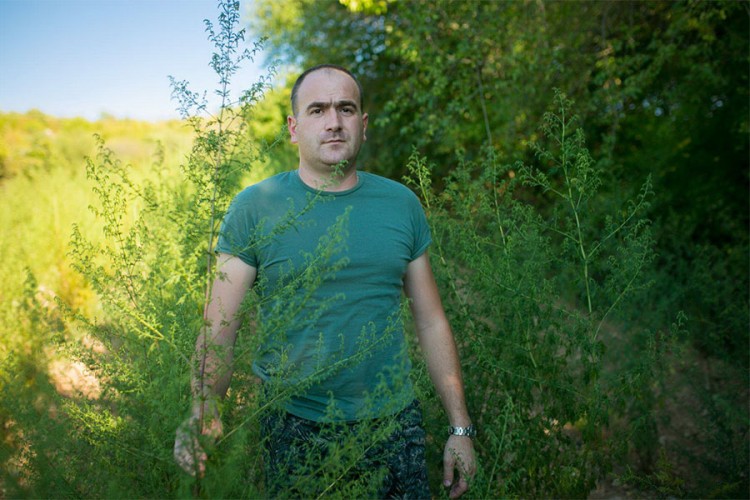 Ljubinjac uzgaja ljekovitu biljku: Spas od kovida traže u pelinu
