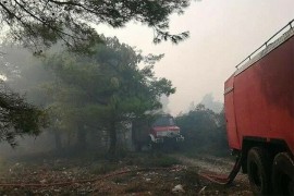 Bjesni šumski požar na Zakintosu
