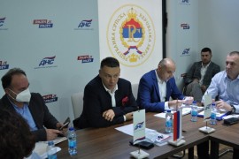 Nenad Nešić izabran za predsjednika DNS-a