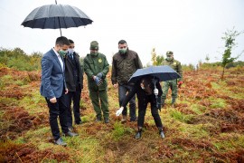 Počela sadnja 625 sadnica na Poniru: Pošumljavanjem protiv zagađenja