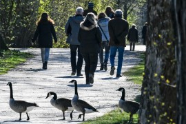 Nijemci strahuju od novih talasa korone 2021.