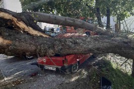 Drvo palo na auto u Prnjavoru