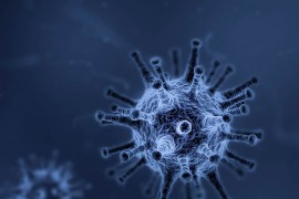 Doktor Radman: Virus korona će sam sebe uništiti