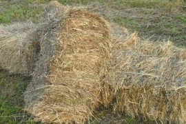 Pronađen nestali dječak, zaspao u sijenu