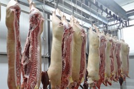 Svinjetina iz Brazila stigla u Kinu pozitivna na korona virus