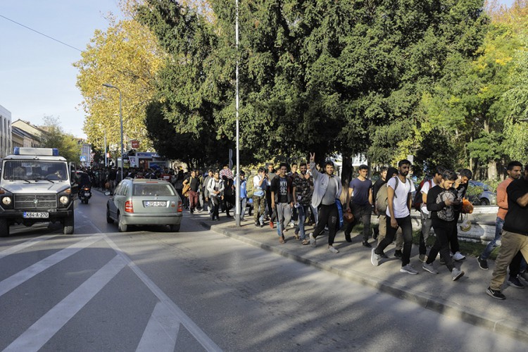 Cikotić: Izmjestiti migrante iz gradskih sredina