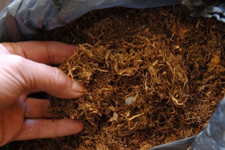 Zadruga do sada otkupila 35 tona duvana "Virdžinija"