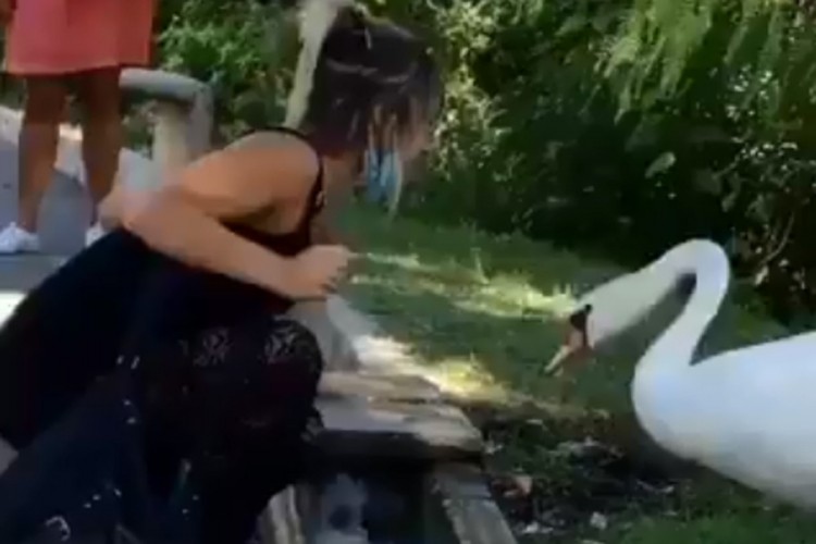 Labud "objasnio" ženi kako se nosi zaštitna maska
