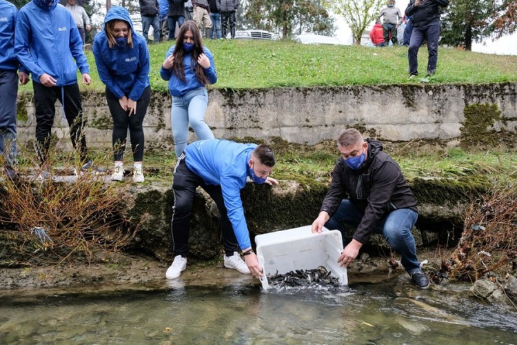 Sana i pritoke poribljene "kraljicom riba"