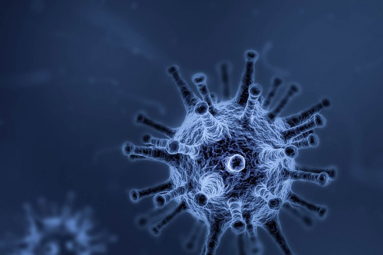 Doktor Radman: Virus korona će sam sebe uništiti