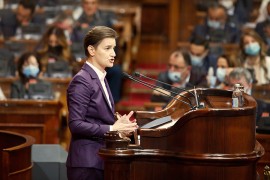 Brnabić: Mogu da me zovu i fikus, važno je da napredujemo