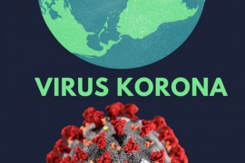U svijetu koronom zaraženo 13.688.204 osoba