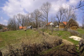 Suđenje Urošu Šuviri - sinu ubijenog javio da mu je otac umro od srca