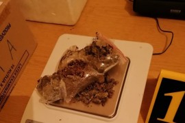 Inspektor iz vatre izvukao drogu