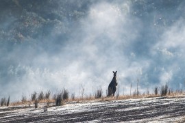 Veliki dio Australije zahvaćen ekstreminim toplotnim talasom