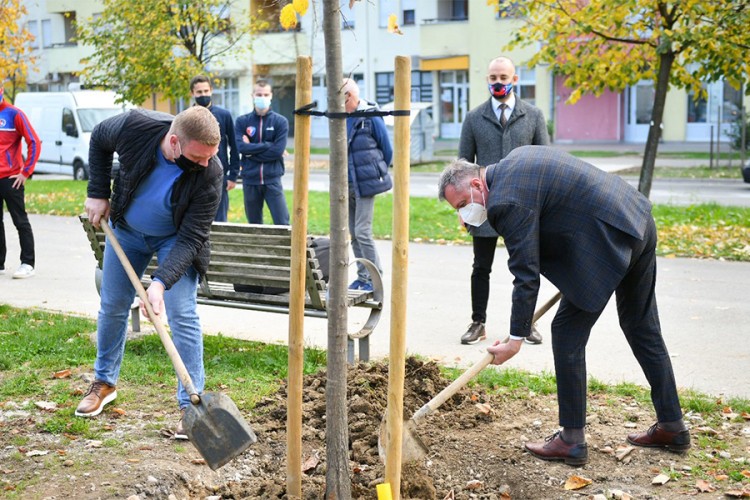Zasađena aleja posvećena Sportskom društvu Borac