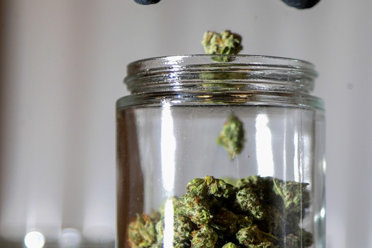 U Nju Džerziju i Arizoni izglasana legalizacija marihuane