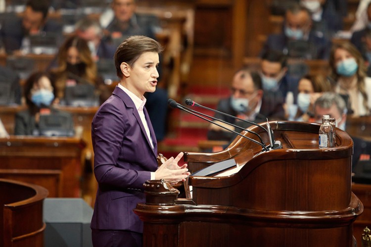 Brnabić: Mogu da me zovu i fikus, važno je da napredujemo