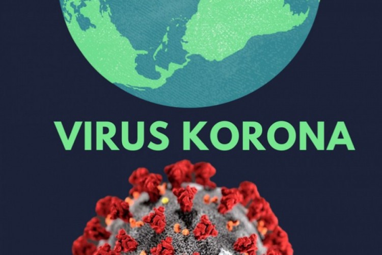 U svijetu koronom zaraženo 13.688.204 osoba