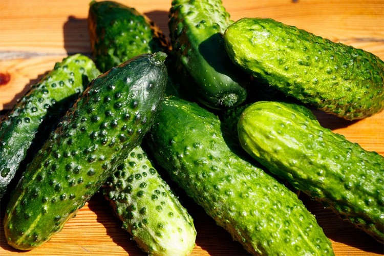 U albanskim krastavcima povećan sadržaj pesticida