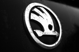 Oduzeta neregistrovana škoda, vozač ima i 8.850 KM neplaćenih kazni