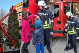Tuzlanski vatrogasci spasili mačku, danima bila zaglavljena na drvetu