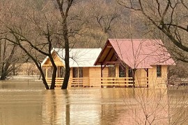 Oluja u BiH podigla bujice, srušila stabla i isključila struju