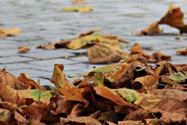 Narandžasto upozorenje zbog jakog vjetra u dijelovima BiH