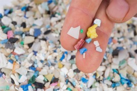 Otkrivena mikro plastika u ljudskoj placenti