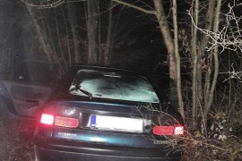 Potraga za krijumčarima migranata koji su sletjeli sa puta i pobjegli