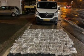 Predložen pritvor za uhapšenog u akciji "Dijablo"