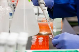 Ruska naučnica: SARS-CoV-2 najvjerovatnije prirodnog porijekla