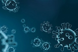 KCUS: Četiri osobe umrle, 92 pozitivne na virus korona