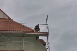 Prijetio da će se baciti sa zgrade ako mu ne puste ženu iz zatvora