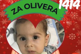 U subotu humanitarni bazar za Olivera u banjalučkom parku "Petar ...