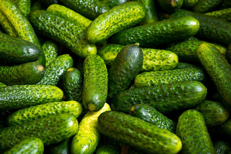 Zabranjen uvoz krastavca iz Albanije zbog povećanog sadržaja pesticida