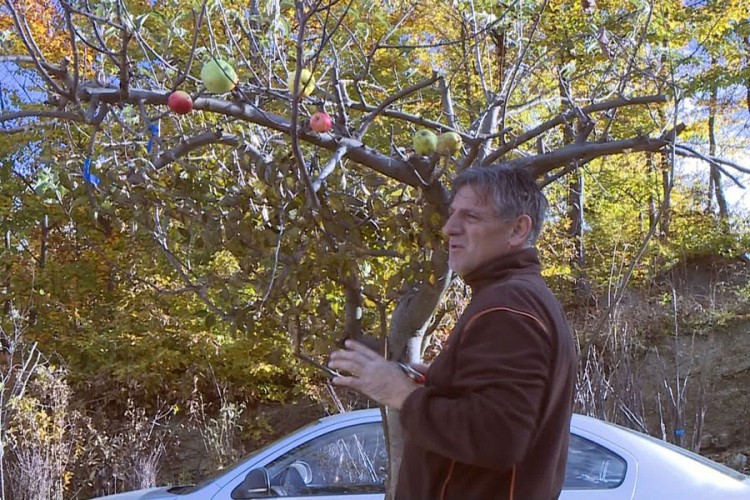 Šaptač voćkama čuva autohtone vrste voća