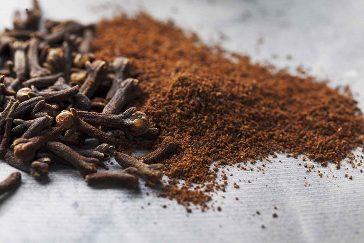 Klinčić - aromatični dodatak koji ubija bakterije