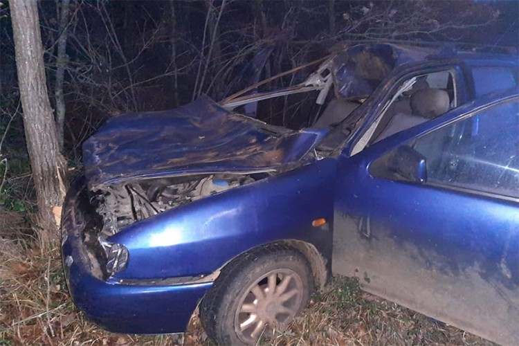 U nesreći stradalo šest magaraca, vozač povrijeđen