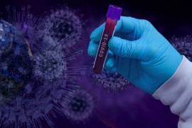 U BiH zaraženo 28.607 ljudi, a oporavilo se 83.662
